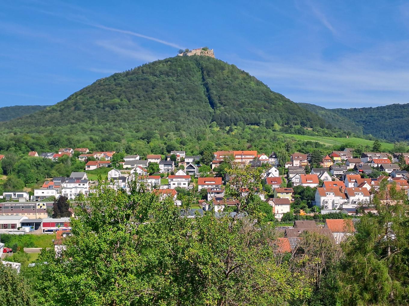 Bild im Zusammenhang mit dem Beitrag