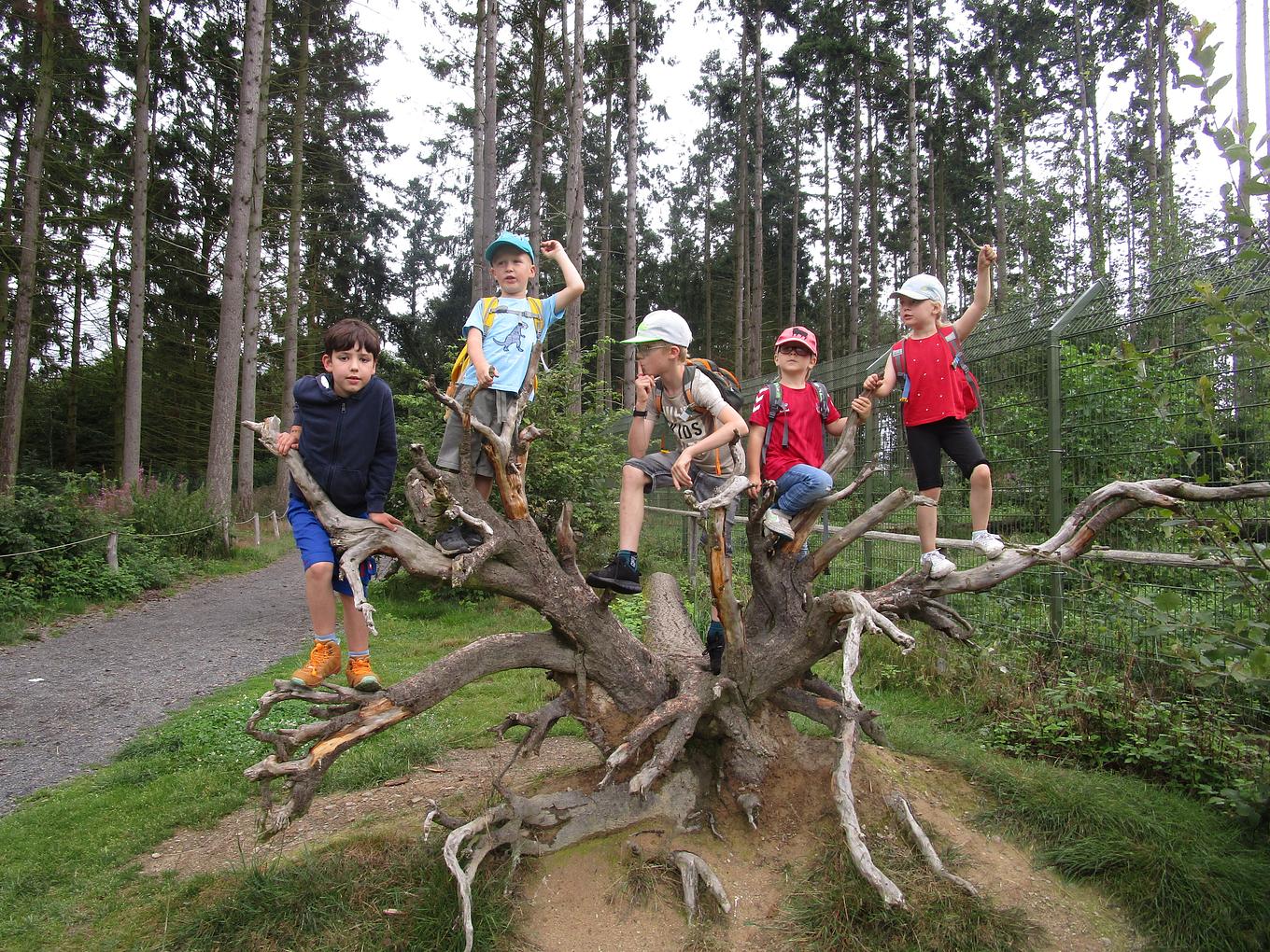 Collagebild 1