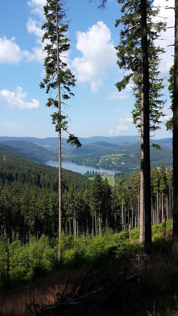 Bild im Zusammenhang mit dem Beitrag