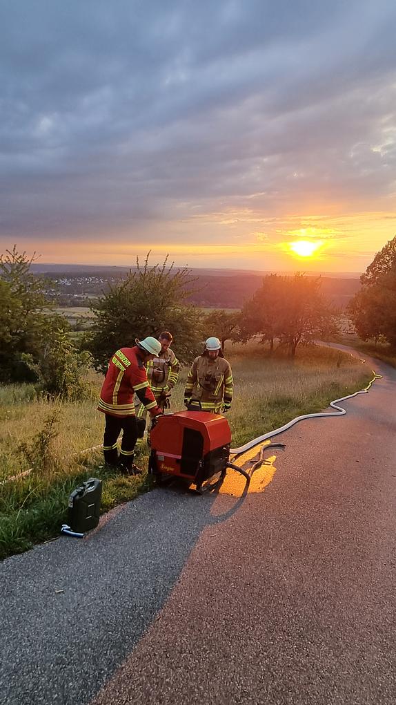 Bild im Zusammenhang mit dem Beitrag