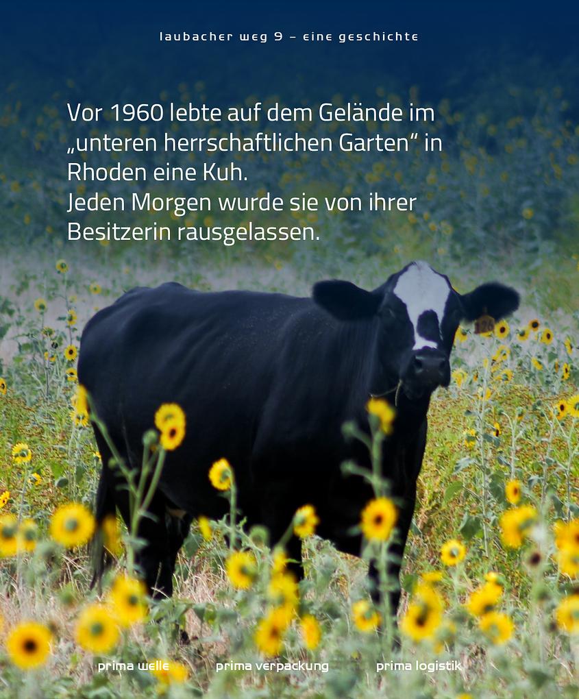 Collagebild 2