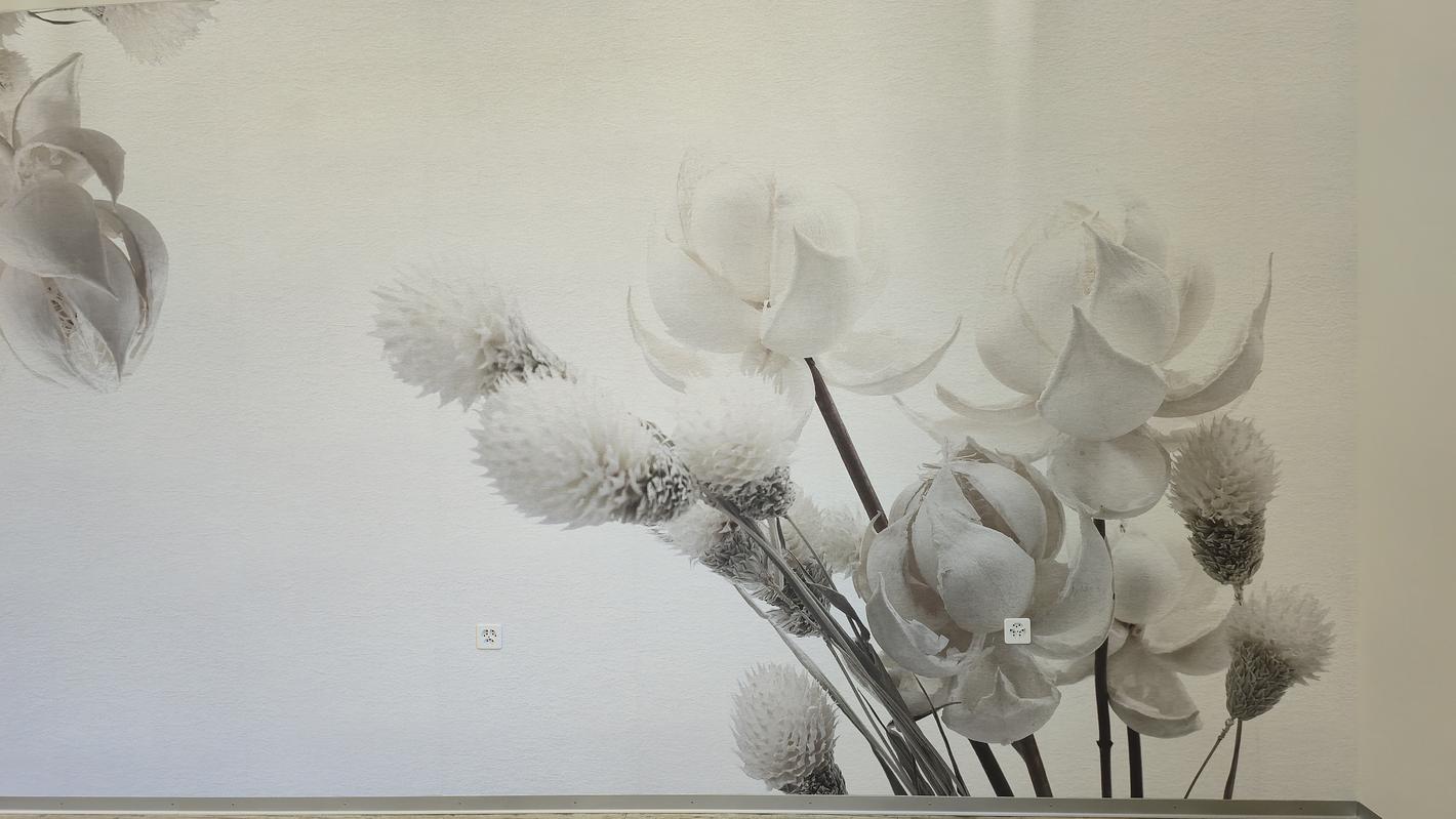 Collagebild 2