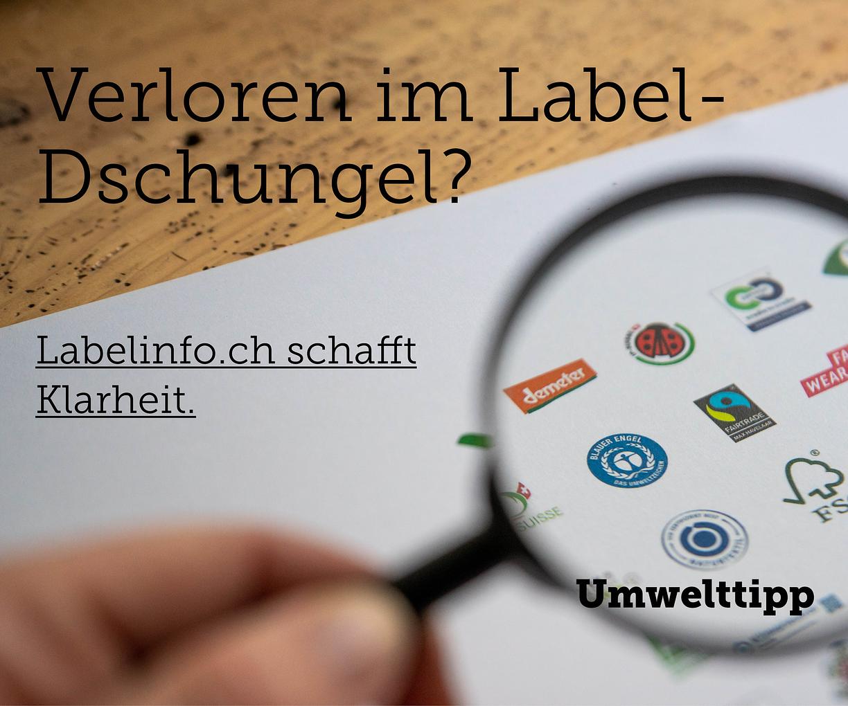 Bild im Zusammenhang mit dem Beitrag