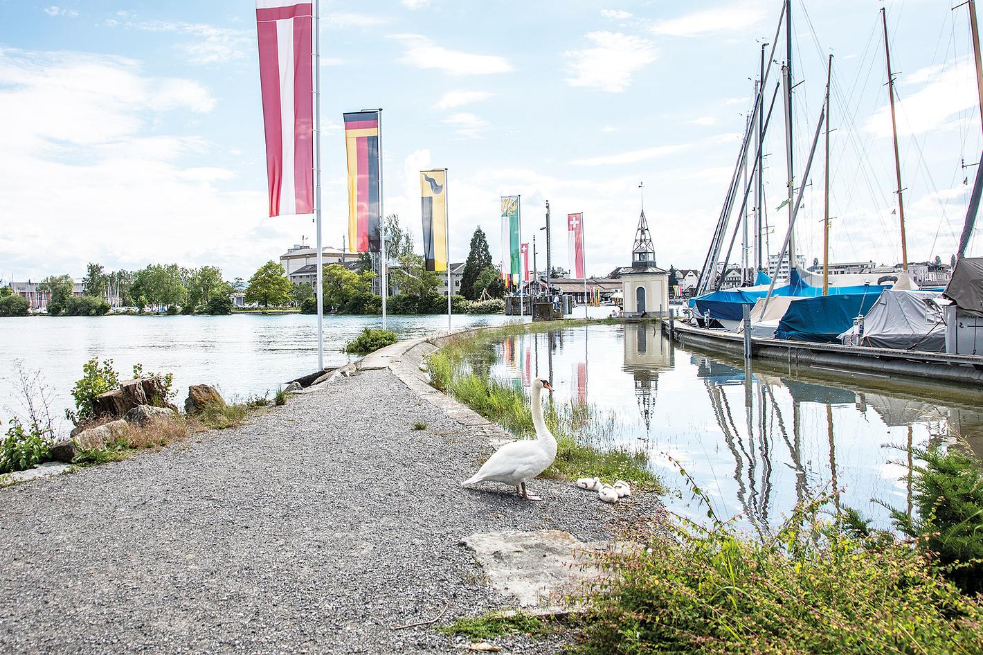 Bild im Zusammenhang mit dem Beitrag