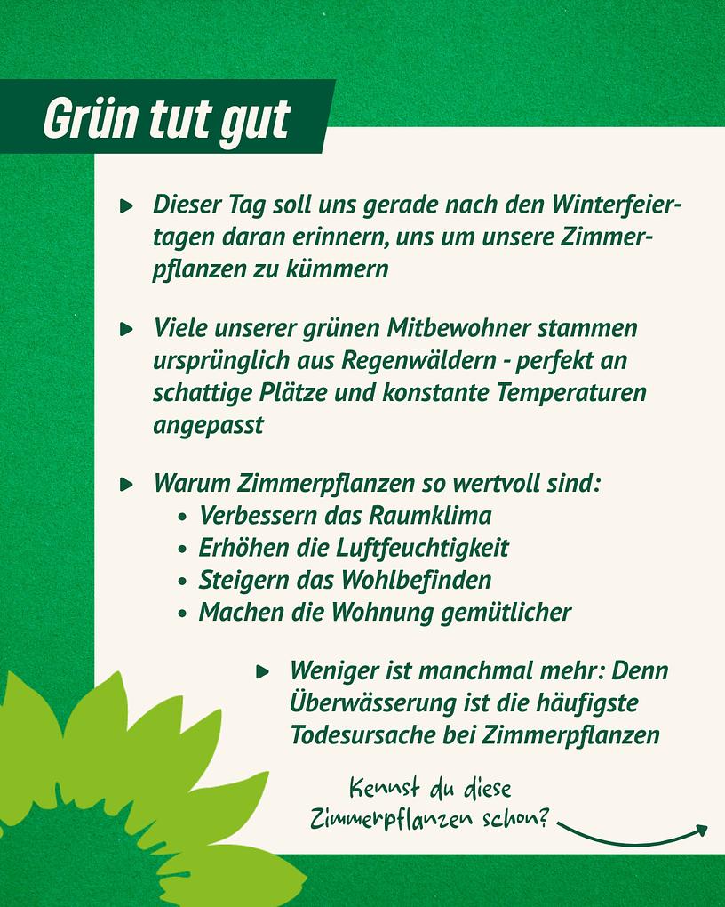Collagebild 2