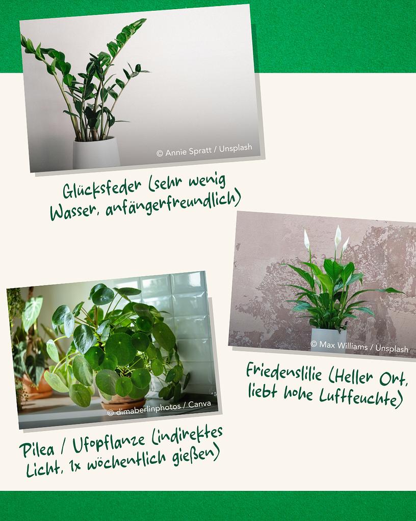 Collagebild 4