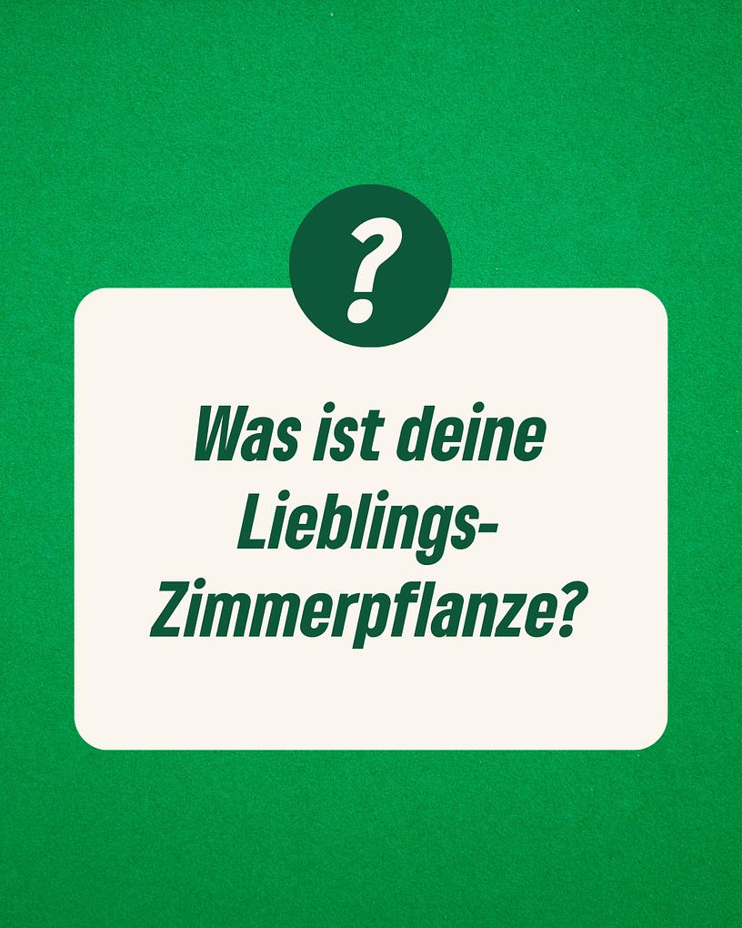 Collagebild 5