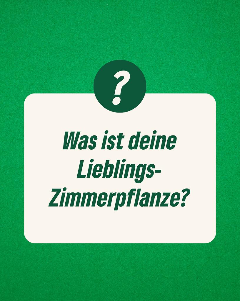 Collagebild 5