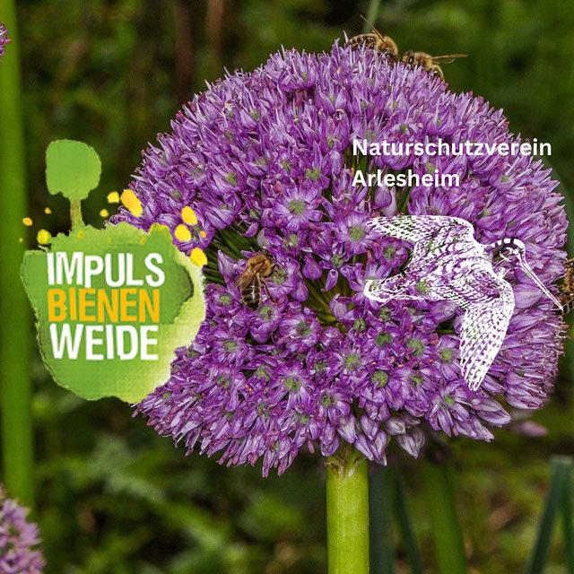 Bild im Zusammenhang mit dem Beitrag