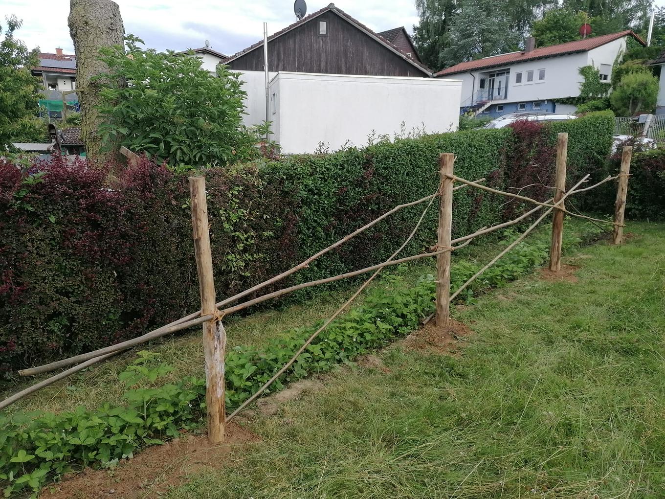 Bild im Zusammenhang mit dem Beitrag