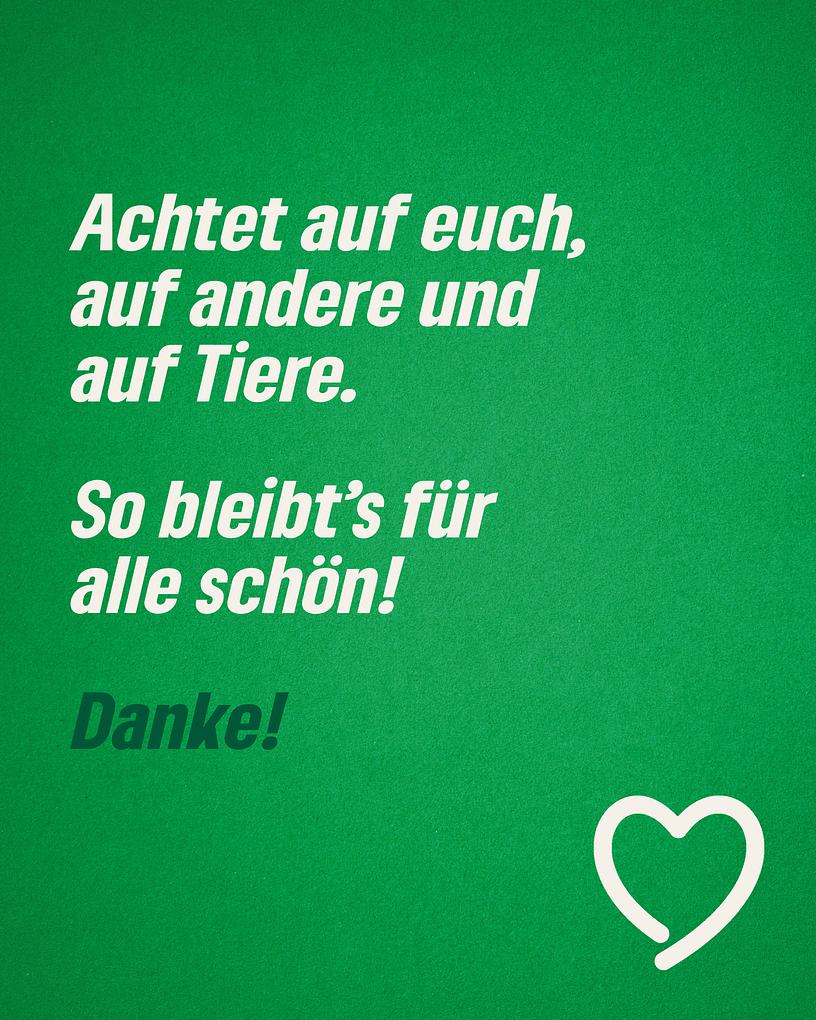Collagebild 3