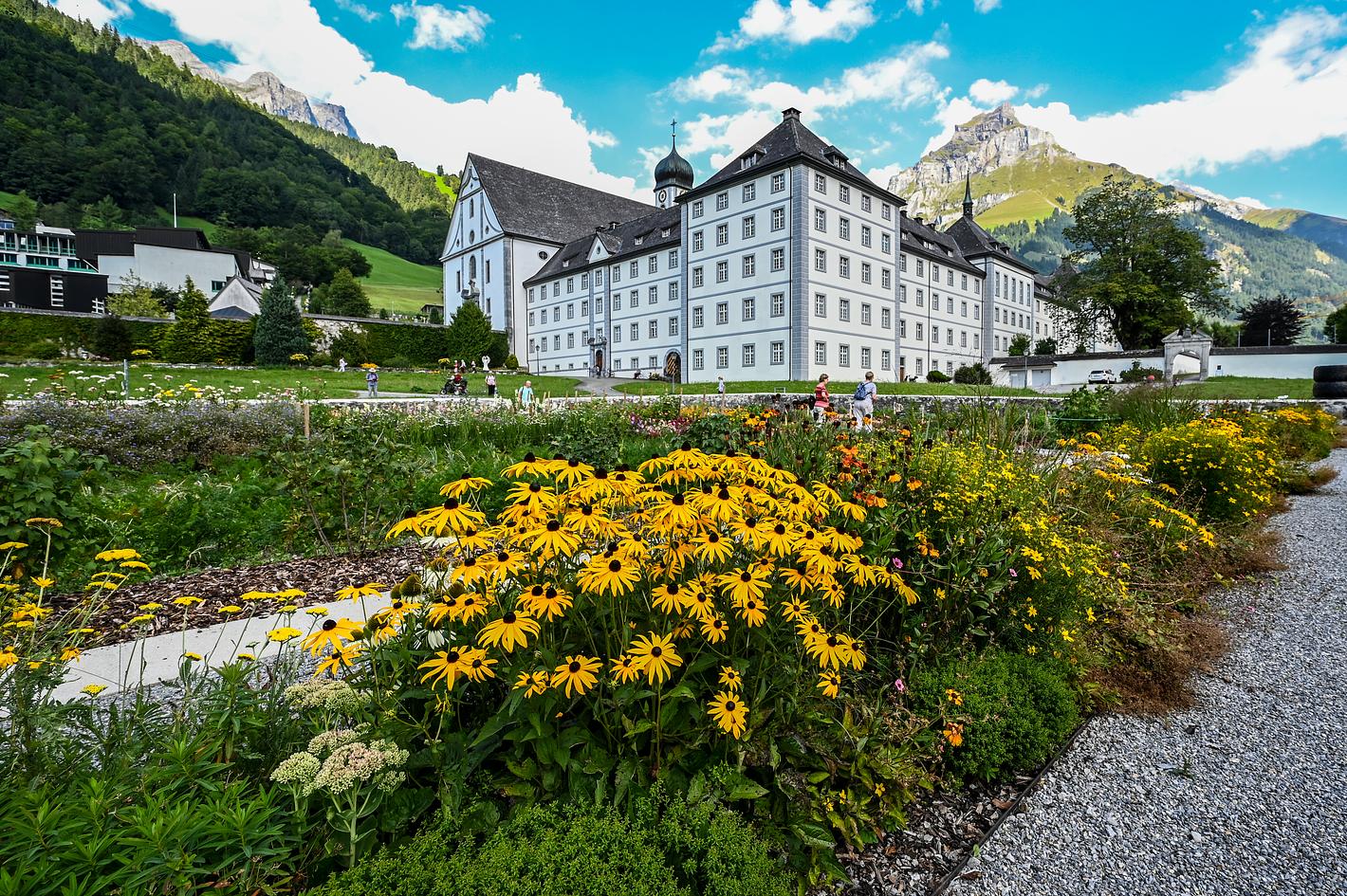 Bild im Zusammenhang mit dem Beitrag