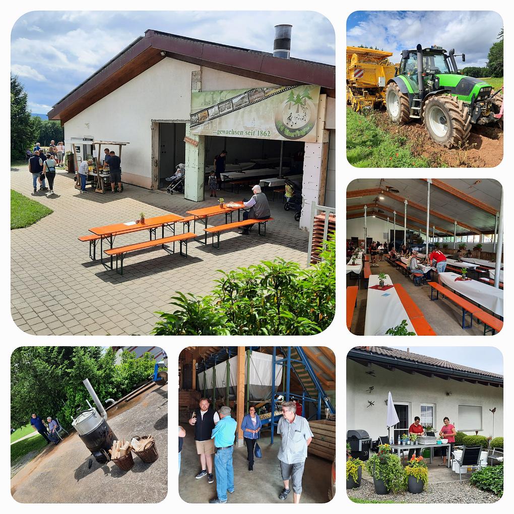 Collagebild 1