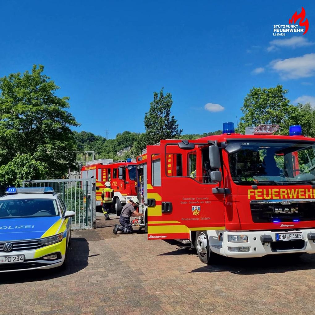 Bild im Zusammenhang mit dem Beitrag