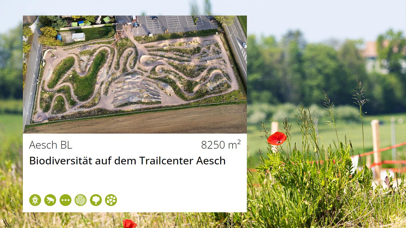 Bild im Zusammenhang mit dem Beitrag