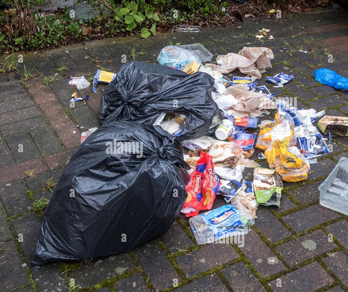 Bild im Zusammenhang mit dem Beitrag