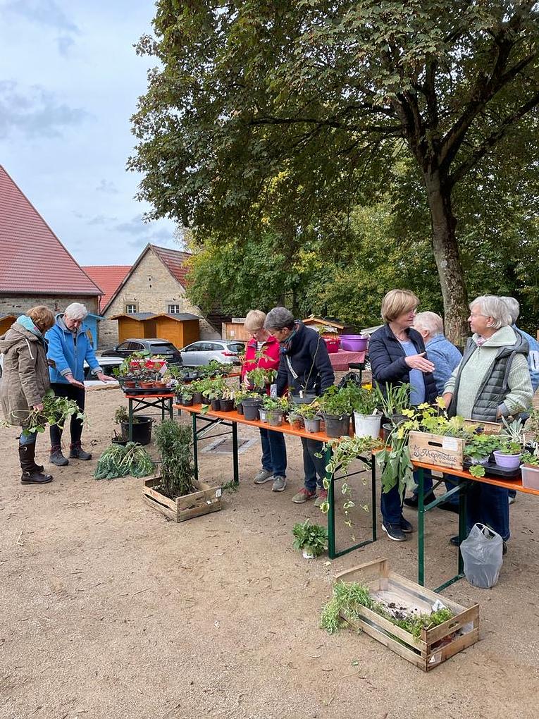Bild im Zusammenhang mit dem Beitrag