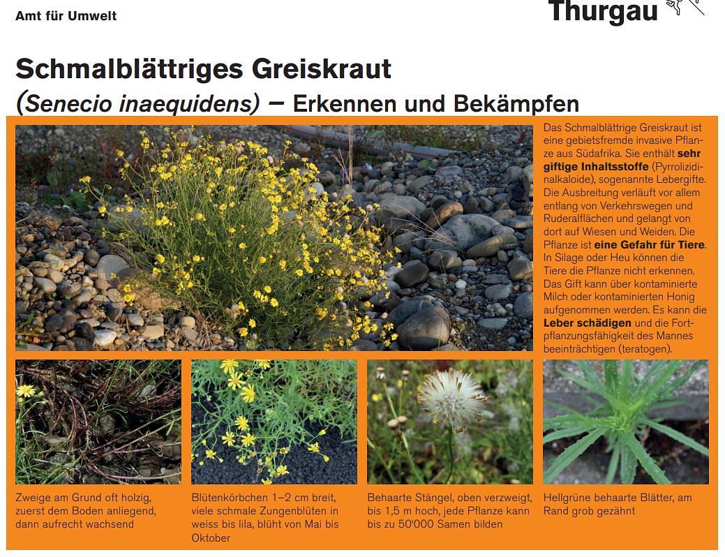 Bild im Zusammenhang mit dem Beitrag
