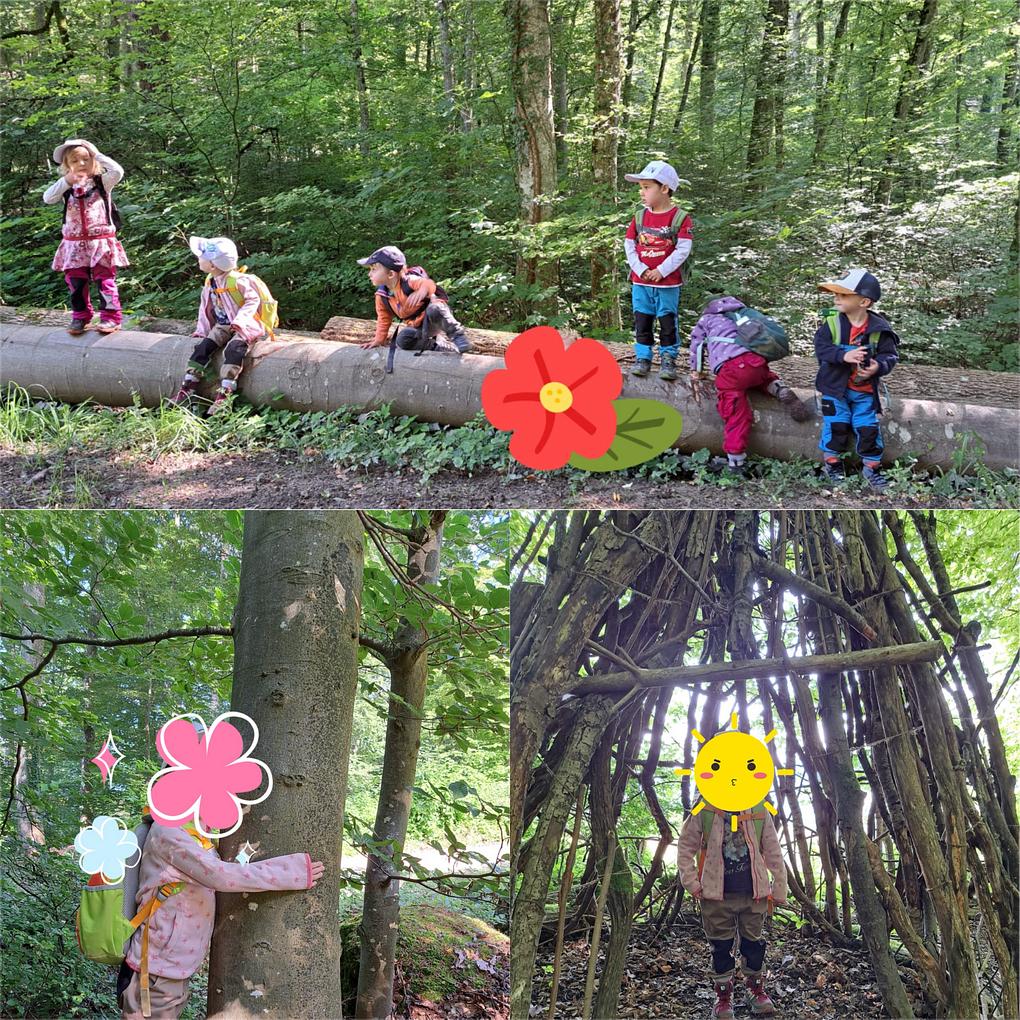 Collagebild 1