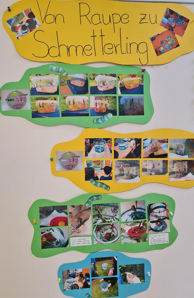 Collagebild 1