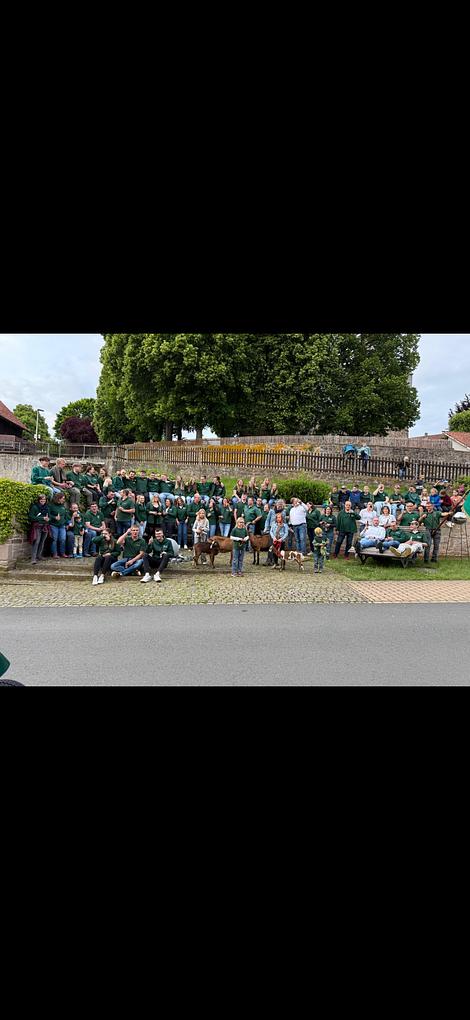 Collagebild 3