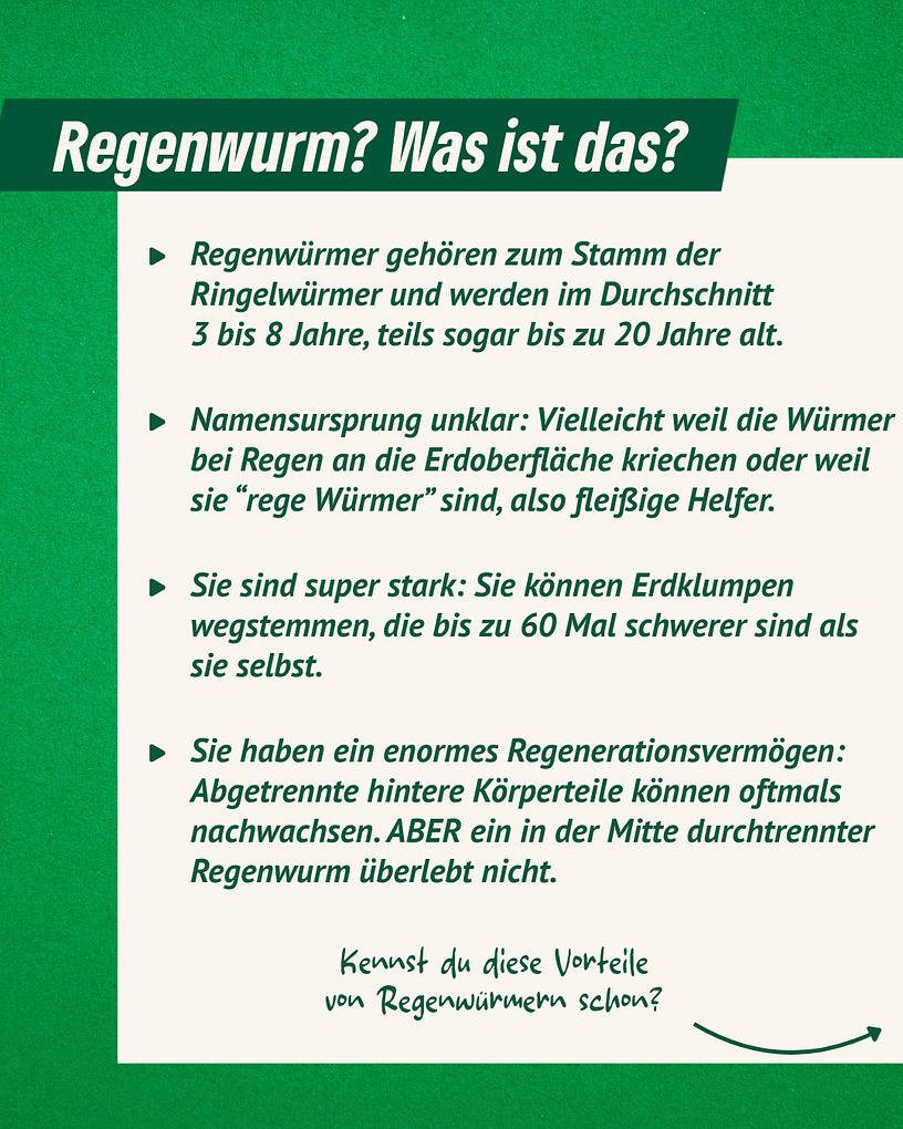 Collagebild 2