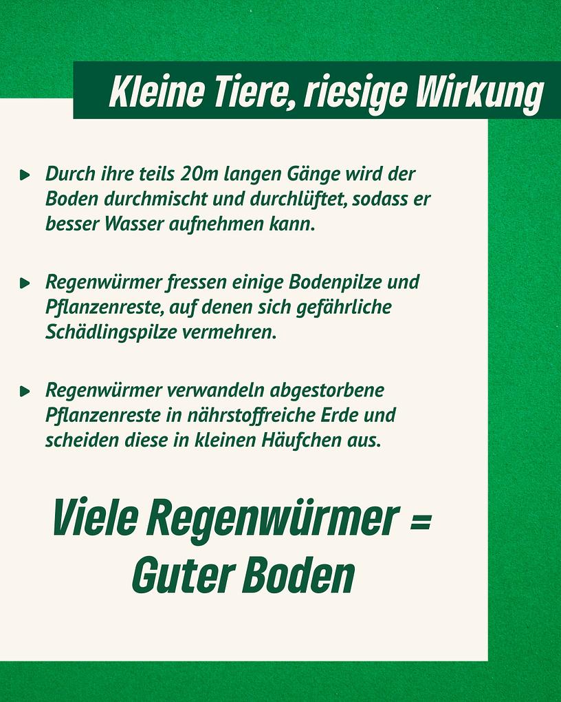 Collagebild 3