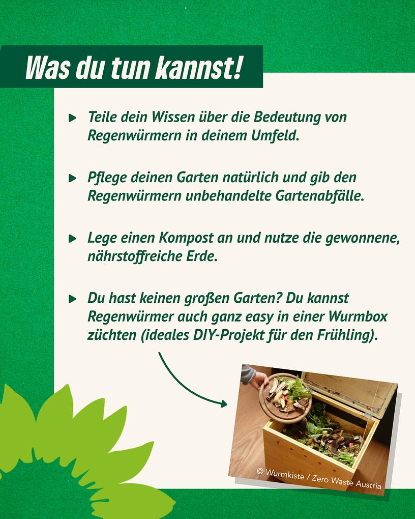 Collagebild 4