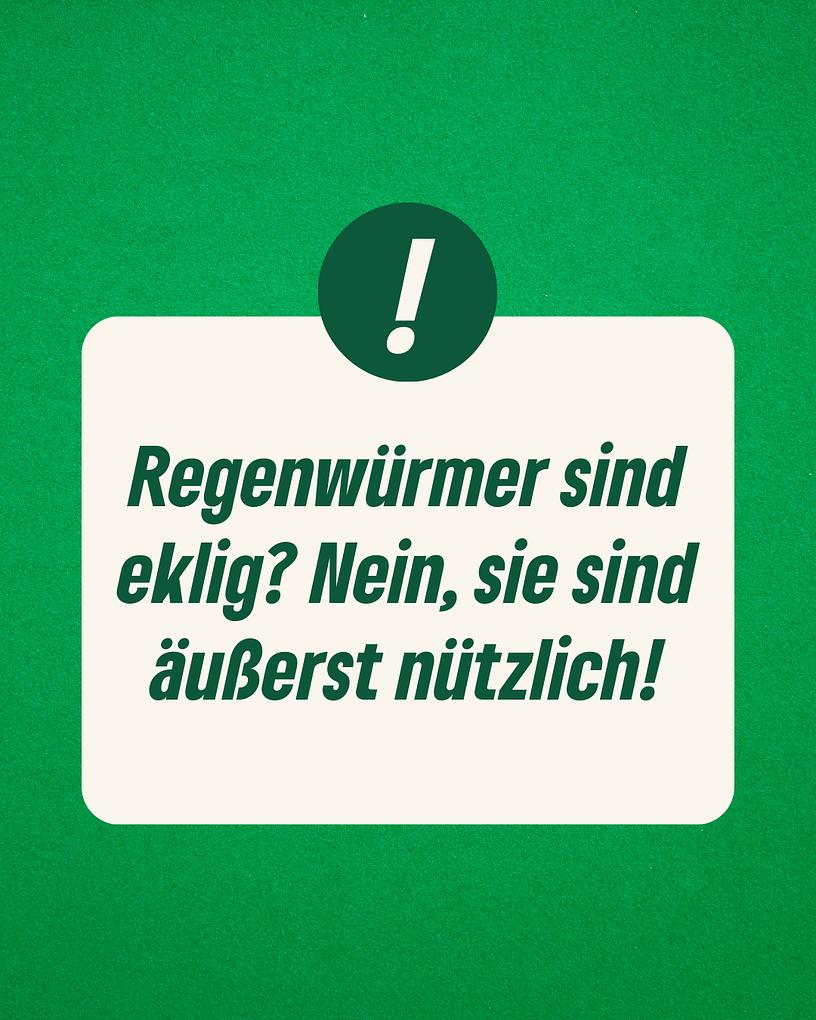 Collagebild 5