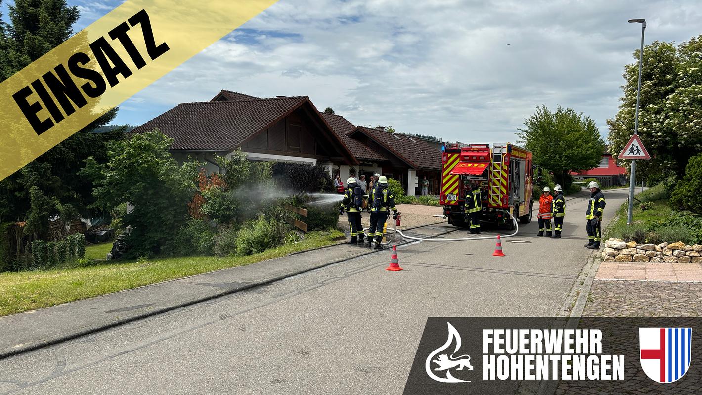 Bild im Zusammenhang mit dem Beitrag