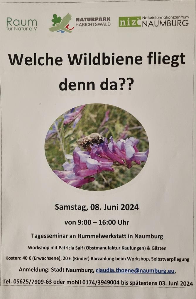 Bild im Zusammenhang mit dem Beitrag