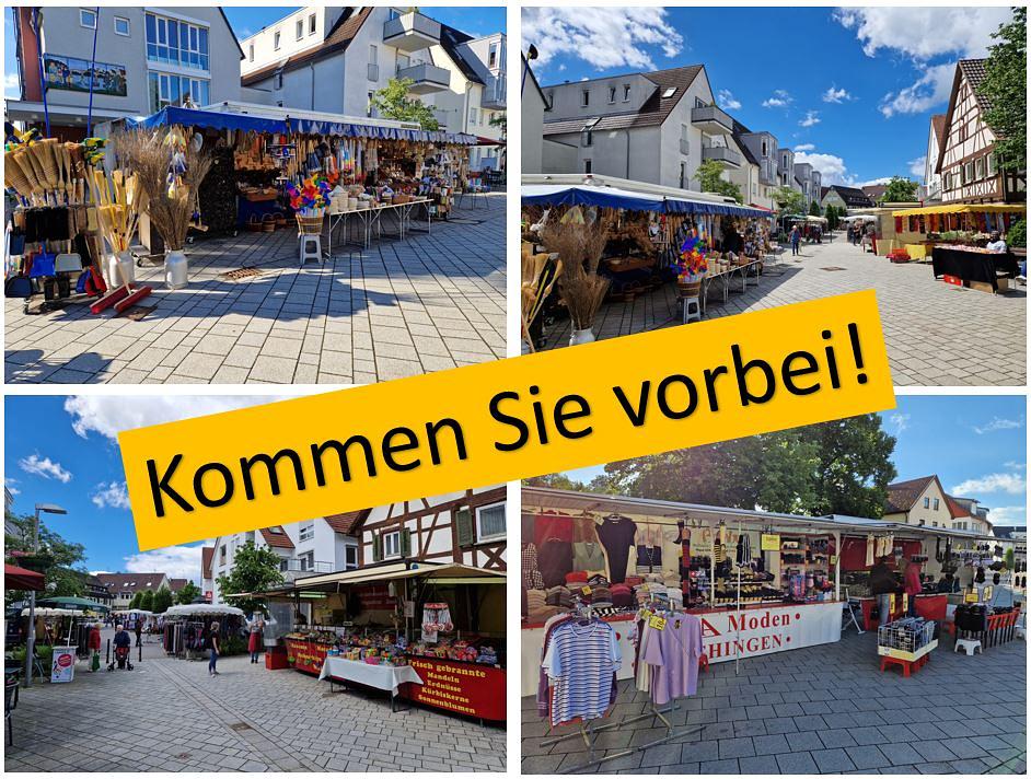 Bild im Zusammenhang mit dem Beitrag