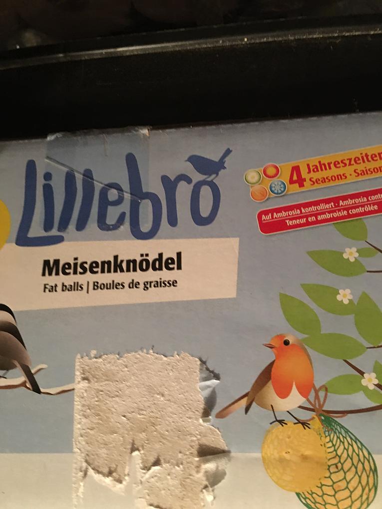 Bild im Zusammenhang mit dem Beitrag
