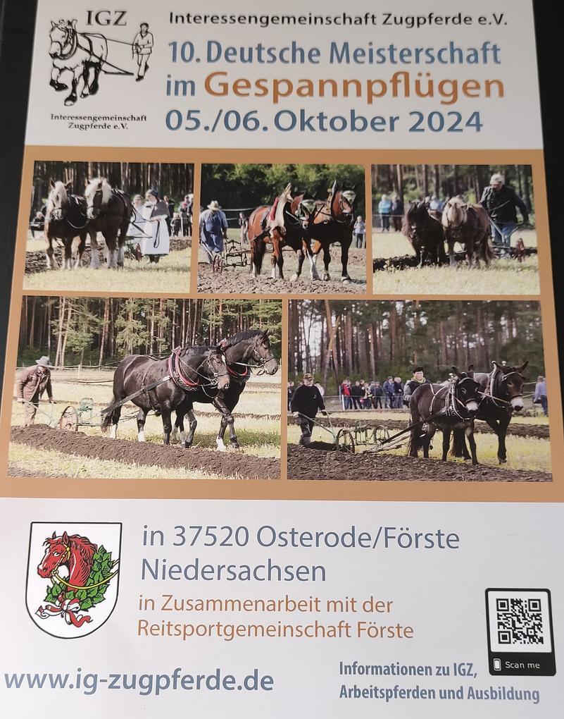 Bild im Zusammenhang mit dem Beitrag