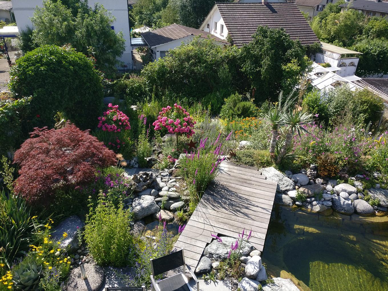 Collagebild 1