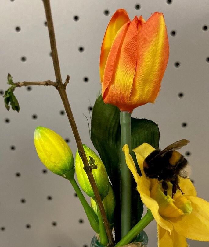 Collagebild 1