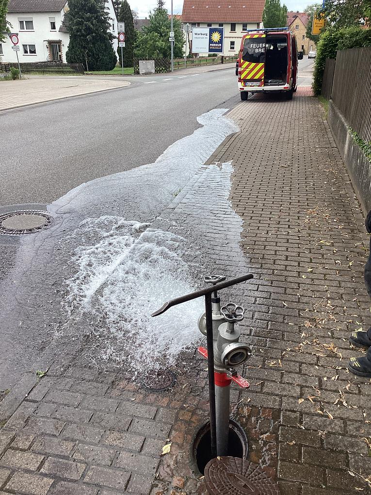 Bild im Zusammenhang mit dem Beitrag