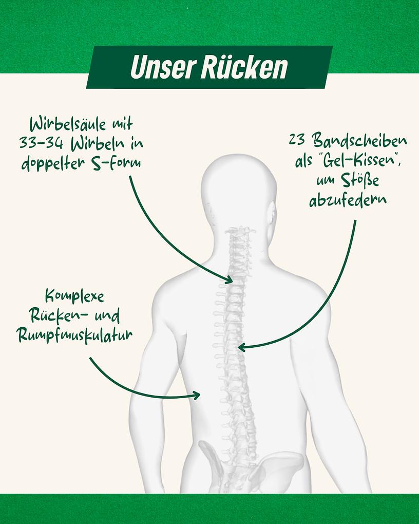 Collagebild 3