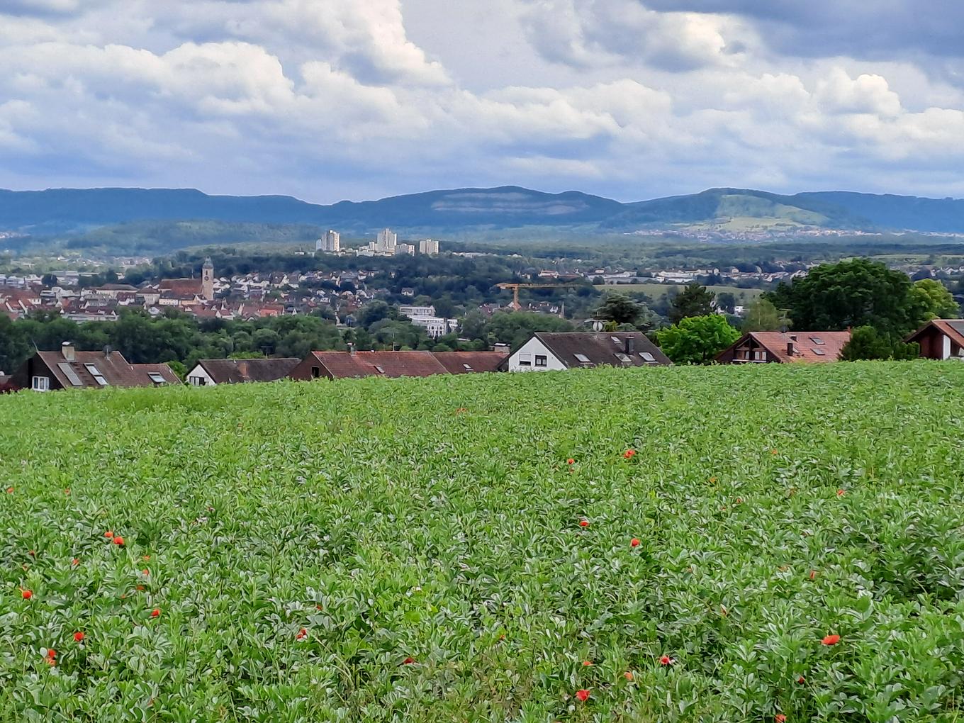 Bild im Zusammenhang mit dem Beitrag