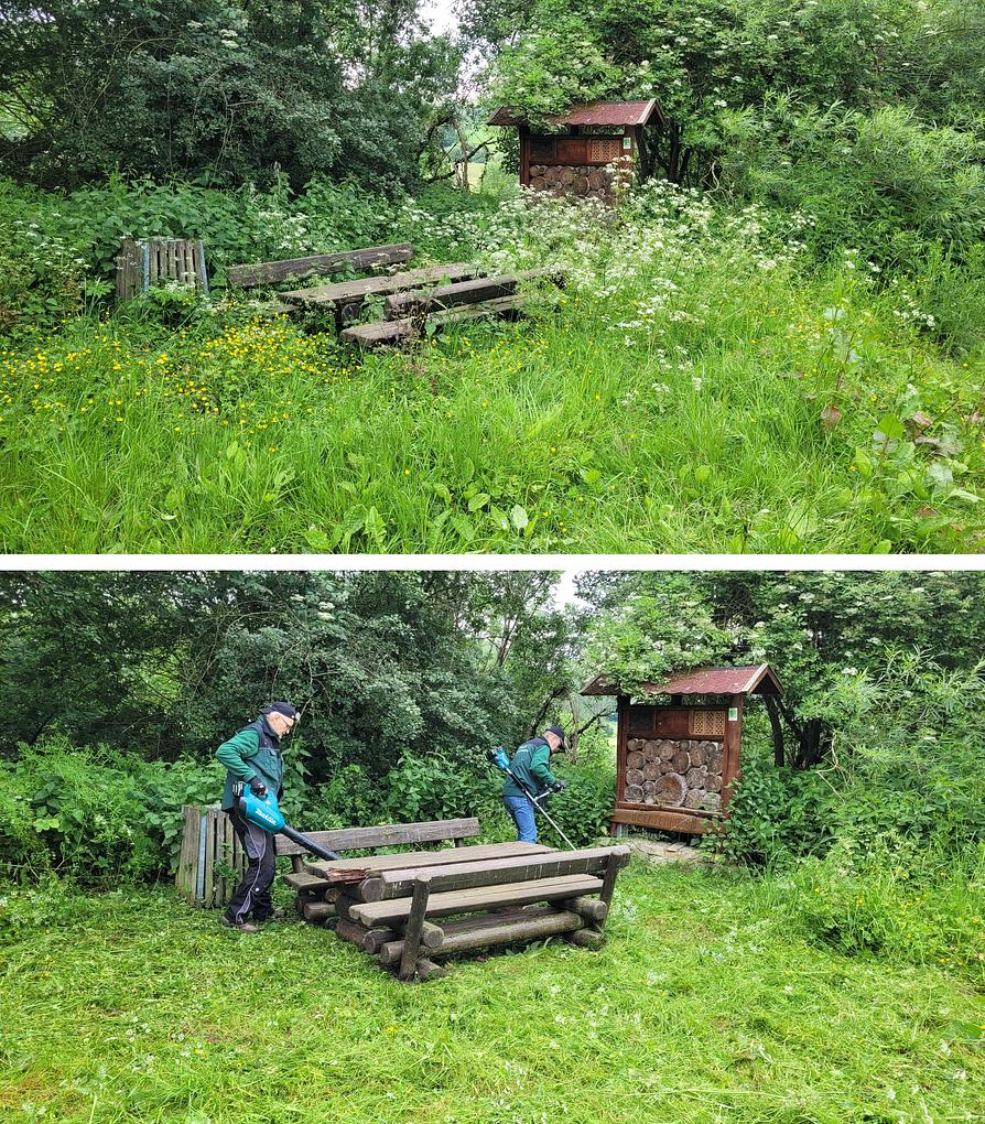 Collage image 1