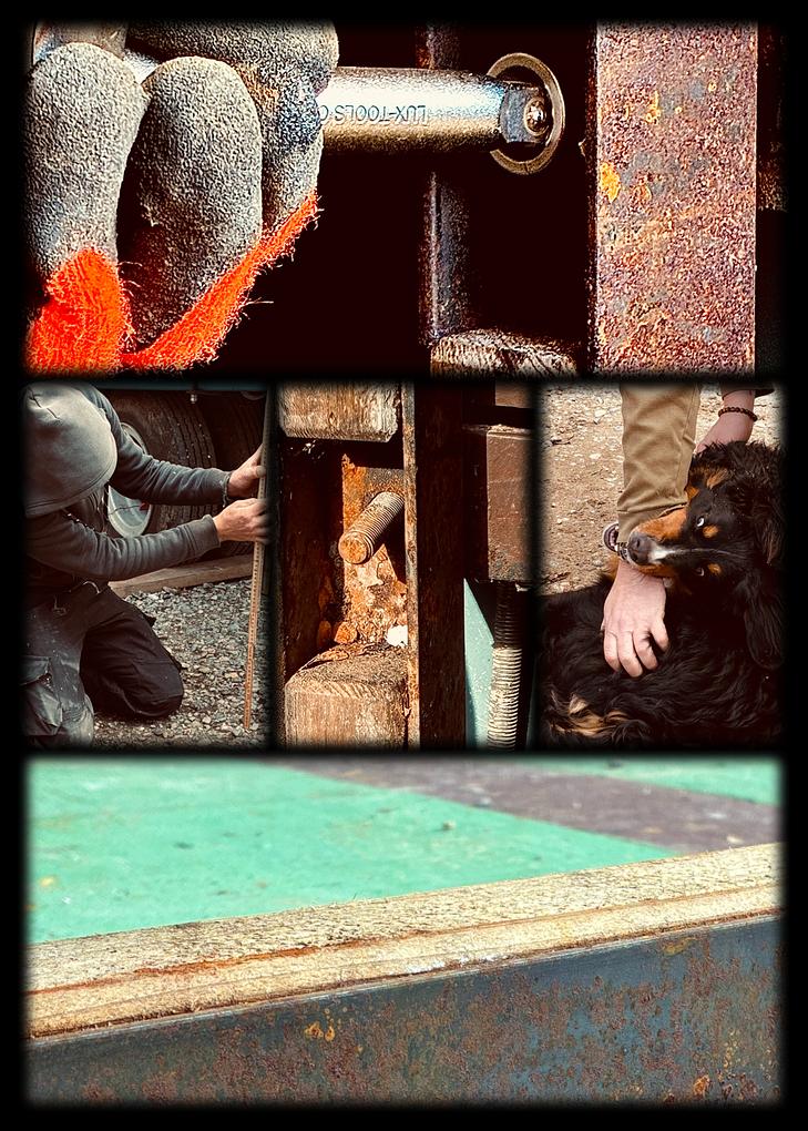 Collagebild 1