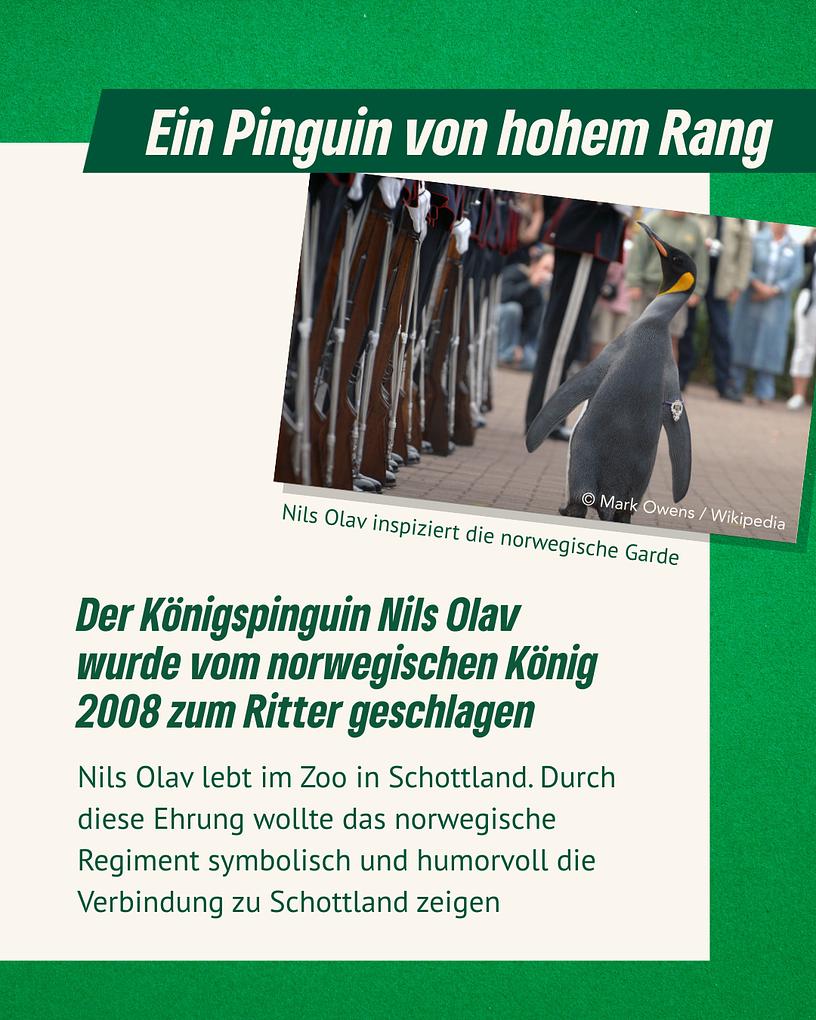 Collagebild 3