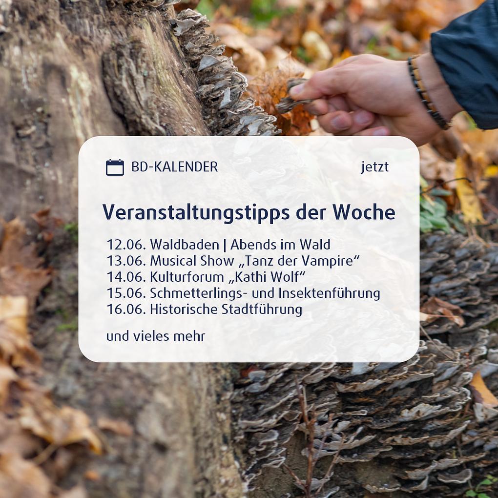 Bild im Zusammenhang mit dem Beitrag