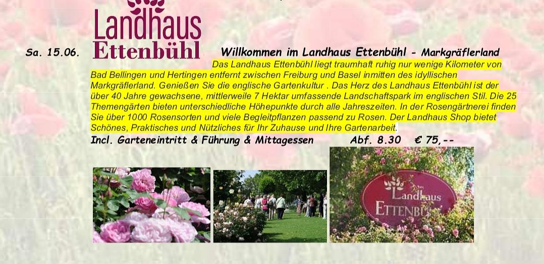 Bild im Zusammenhang mit dem Beitrag
