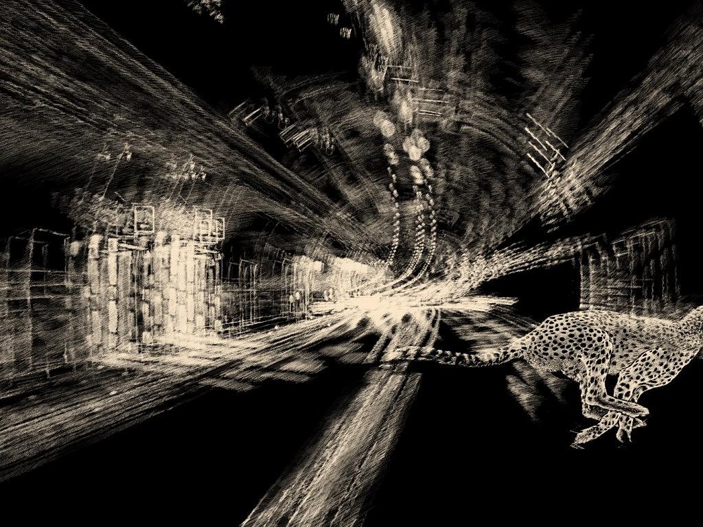 Collagebild 1