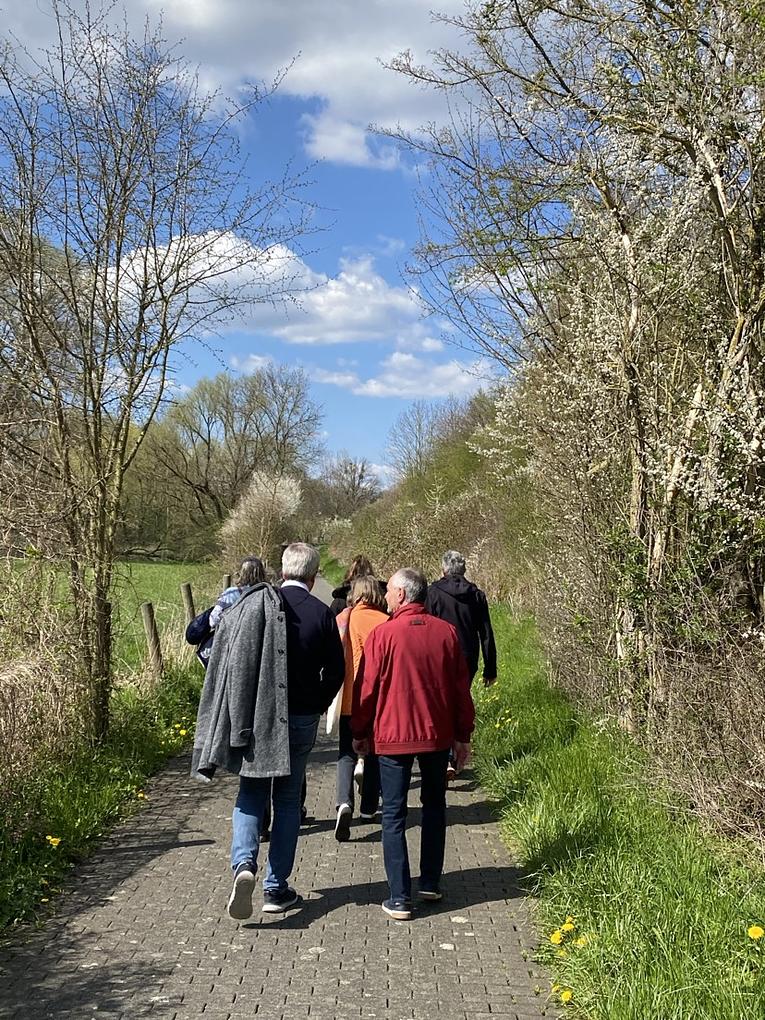 Collage image 1
