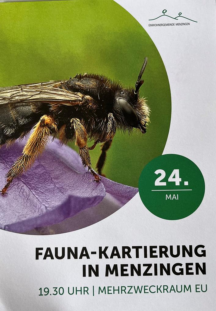 Bild im Zusammenhang mit dem Beitrag