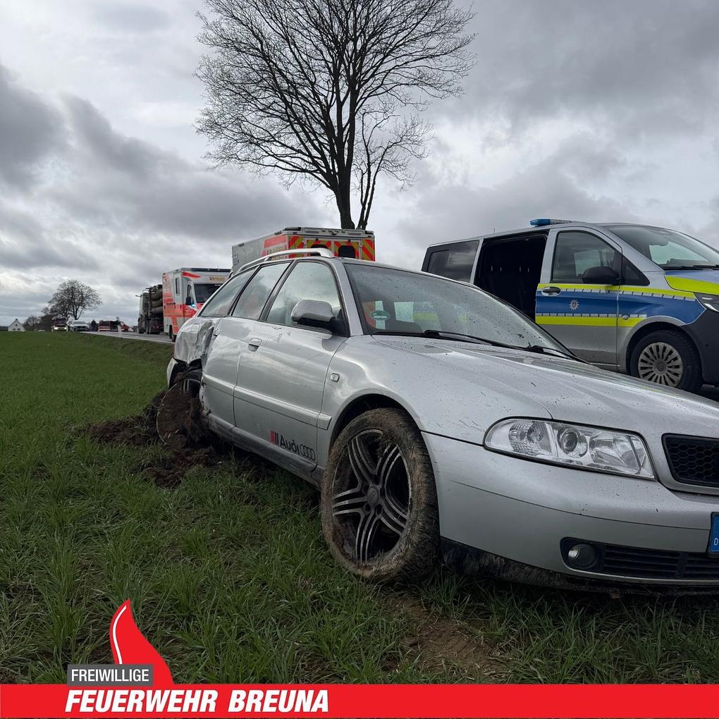 Collage image 1