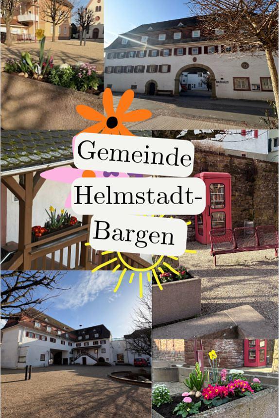 Collage image 1