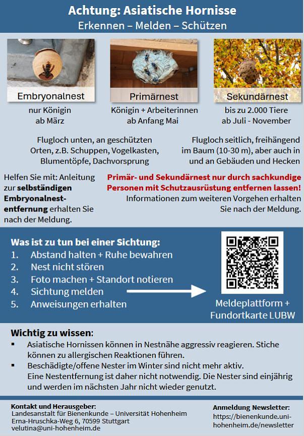 Collagebild 2